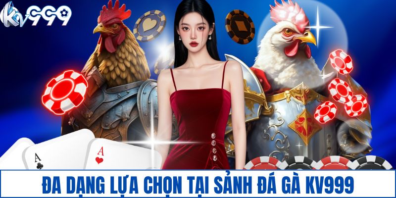 Đa dạng lựa chọn tại sảnh đá gà KV999