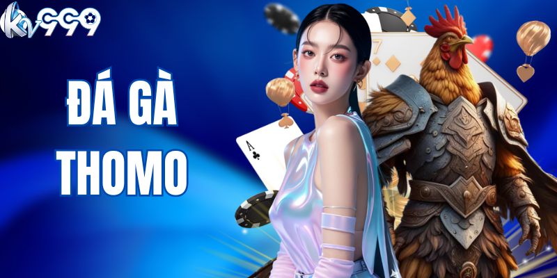 Đá Gà Thomo KV999 - Những Màn Tranh Tài Kịch Tính, Hấp Dẫn