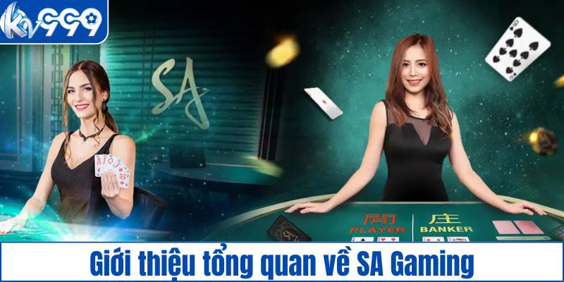 Giới thiệu tổng quan về SA Gaming