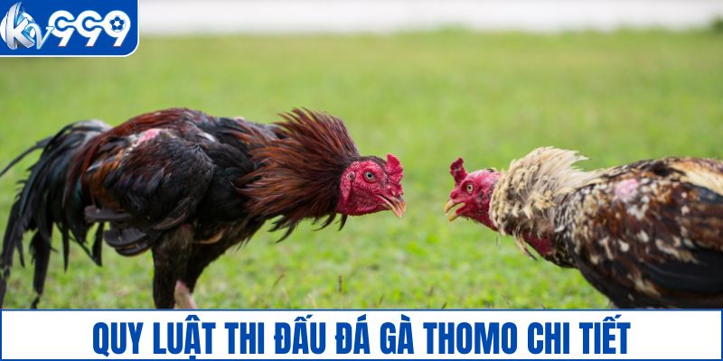 Nguyên tắc thi đấu cơ bản người chơi cần nắm