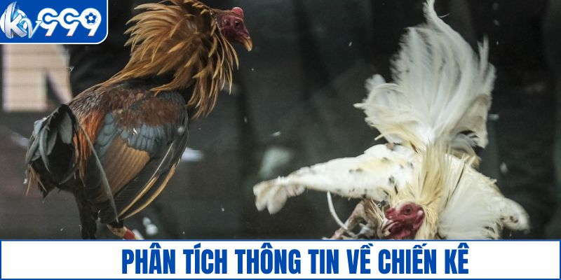 Phân tích thông tin liên quan đến chiến kê