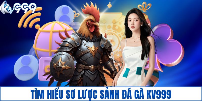 Tìm hiểu sơ lược sảnh đá gà KV999